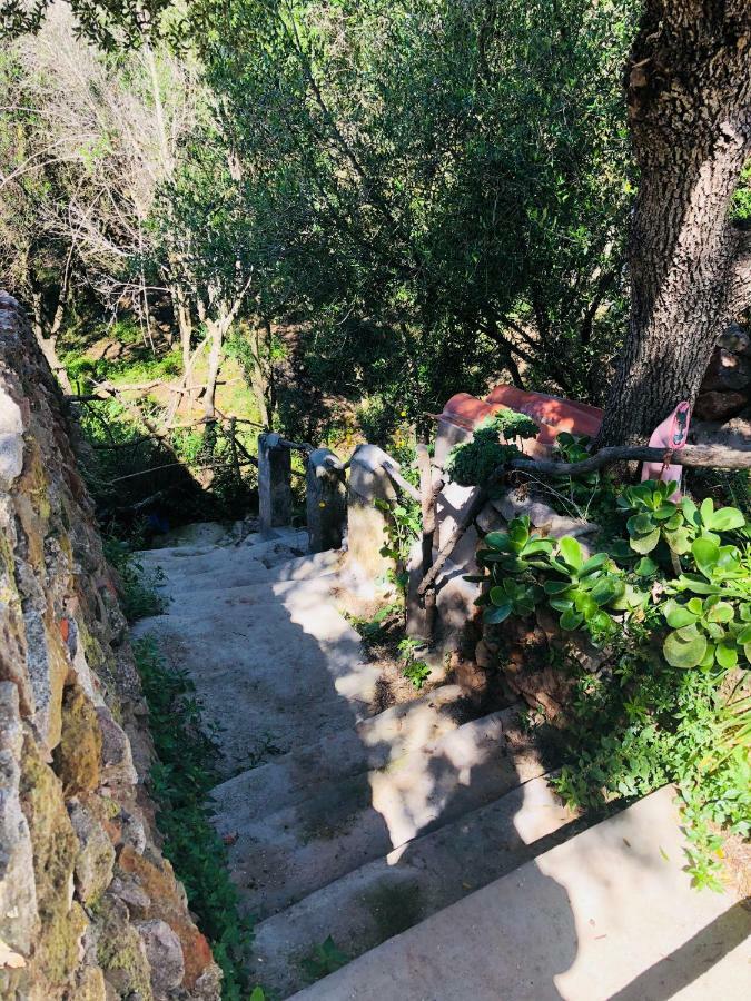 Villa Murmuri Ciutadella  Εξωτερικό φωτογραφία